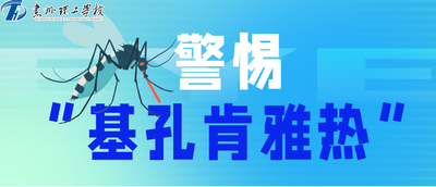 雨天来临，警惕“基孔肯雅热”！