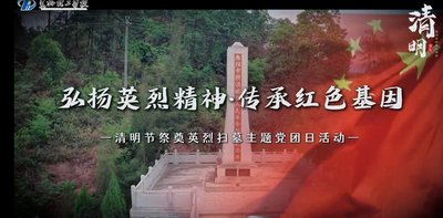 我校清明节祭奠英烈扫墓主题党团日活动